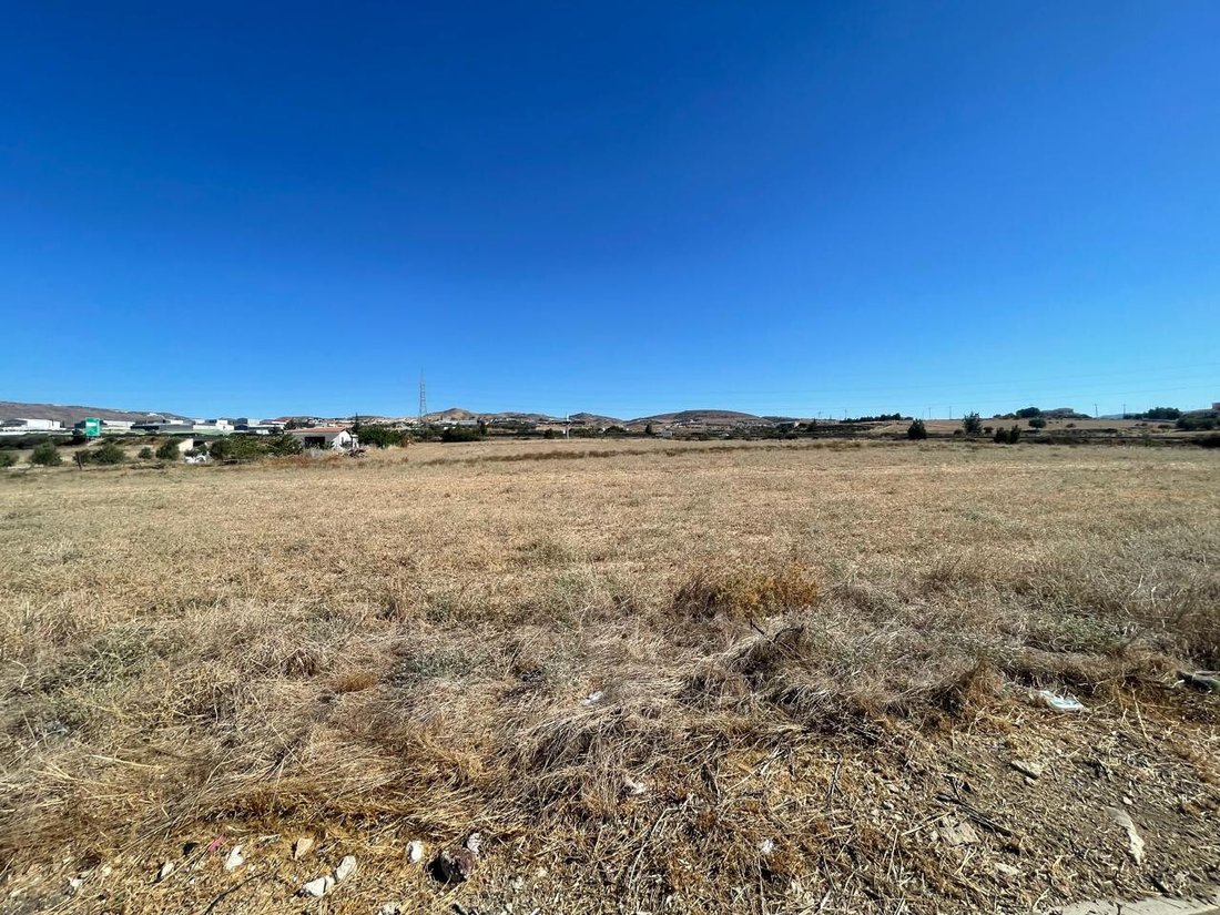 Land in Timi, Paphos, Zypern 2 - 19084052