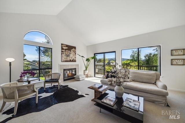 Condo in Mill Valley, California, United States 1 - 19076295