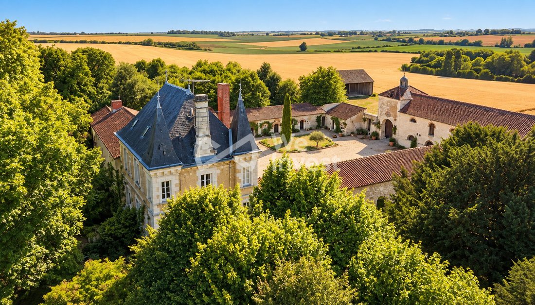 Tenuta a Faye-la-Vineuse, Centro-Val della Loira, Francia 2 - 19076695
