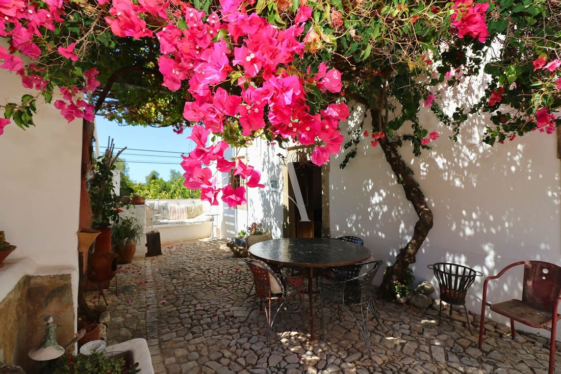 Villa in Faro (Se und Sao Pedro), Algarve, Portugal 5 - 19083897