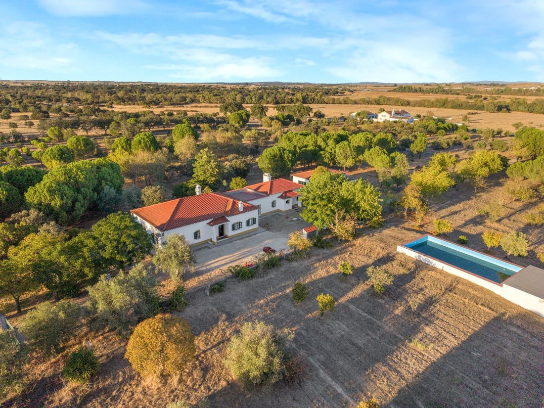 Villa in Bacelo e Senhora da Saude, Distrikt Évora, Portugal 1 - 19077070