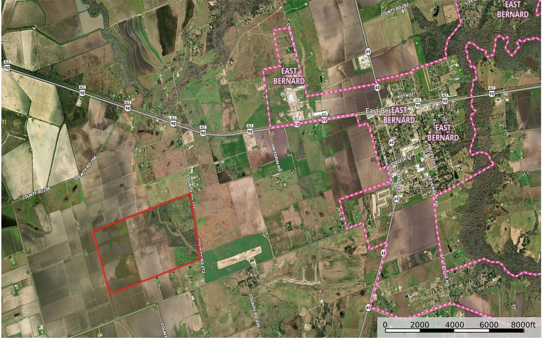 Land in East Bernard, Texas, Vereinigte Staaten 3 - 19079926