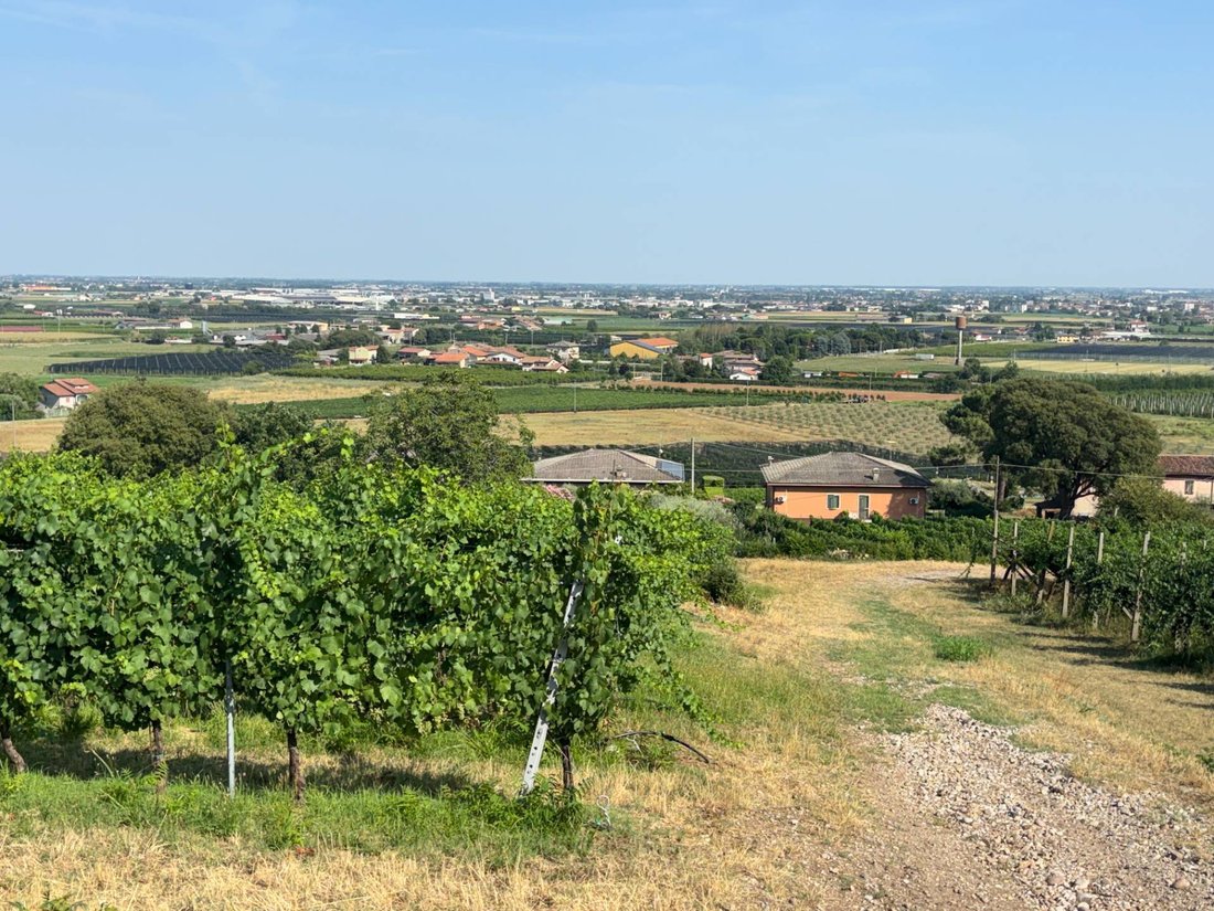 Haus in Sommacampagna, Venetien, Italien 3 - 19076204