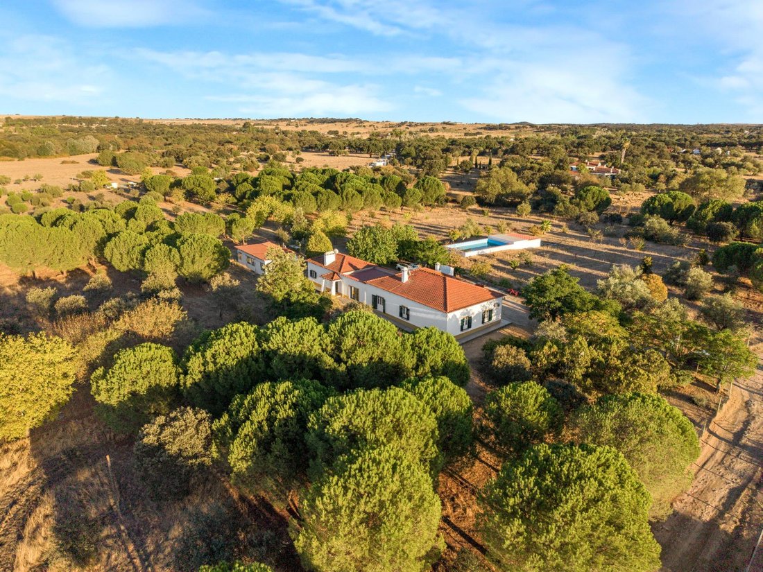Villa in Bacelo e Senhora da Saude, Distrikt Évora, Portugal 4 - 19077070