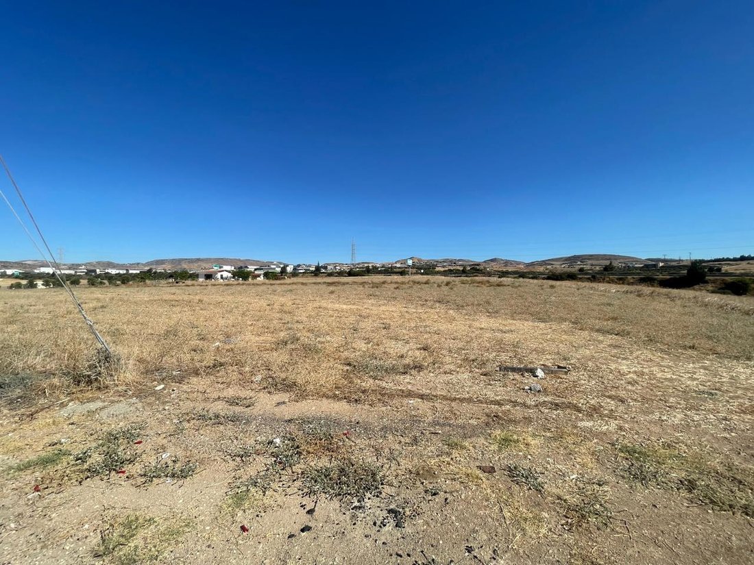 Land in Timi, Paphos, Zypern 3 - 19084052