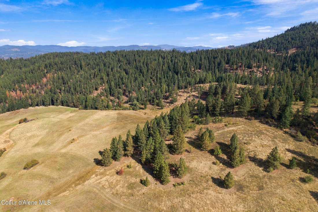 Terrain à Medimont, Idaho, États-Unis 4 - 19079558