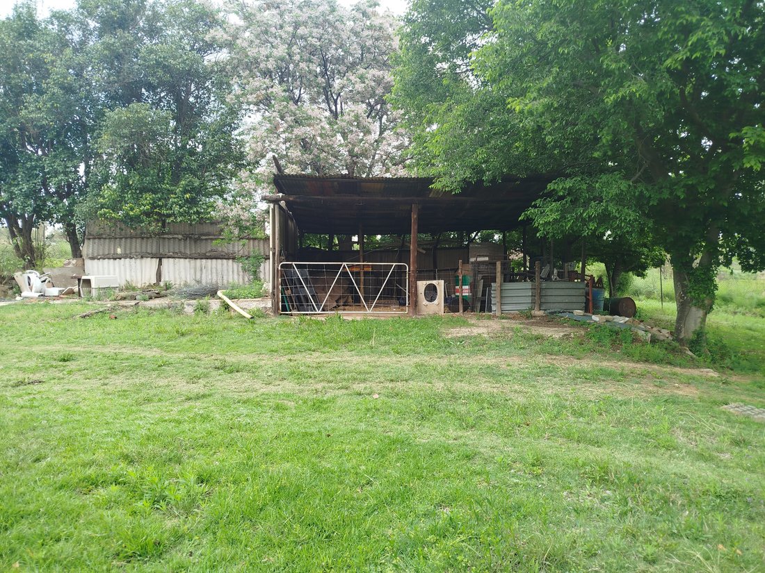 Farm Ranch in Johannesburg, Gauteng, South Africa 4 - 19079965