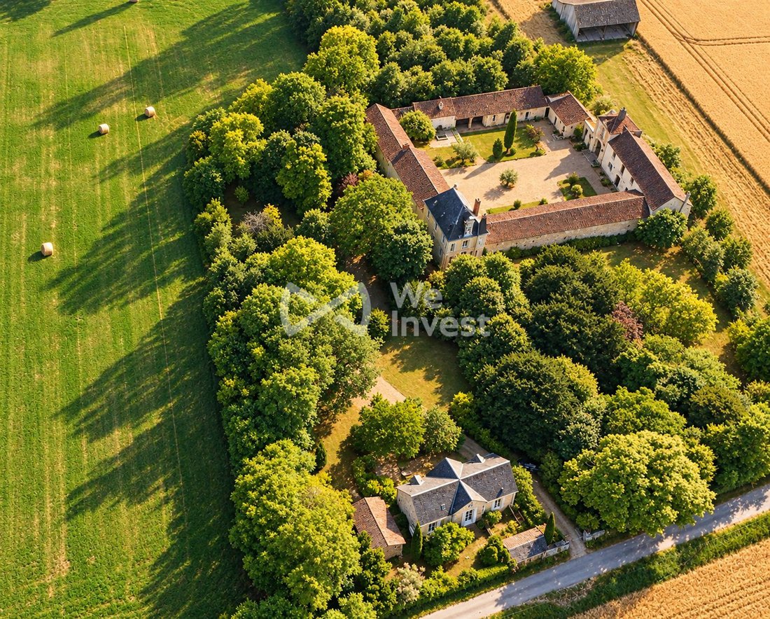 Tenuta a Faye-la-Vineuse, Centro-Val della Loira, Francia 1 - 19076695