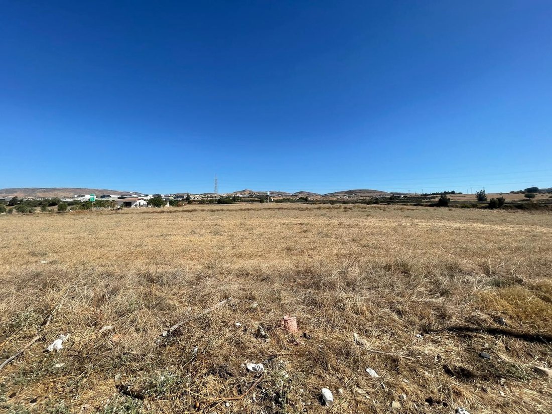 Land in Timi, Paphos, Zypern 4 - 19084052