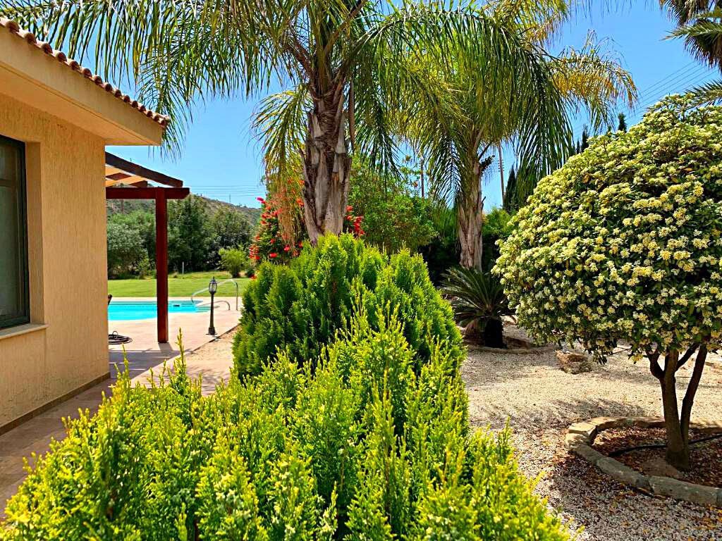 Haus in Pissouri, Limassol, Zypern 3 - 19083982