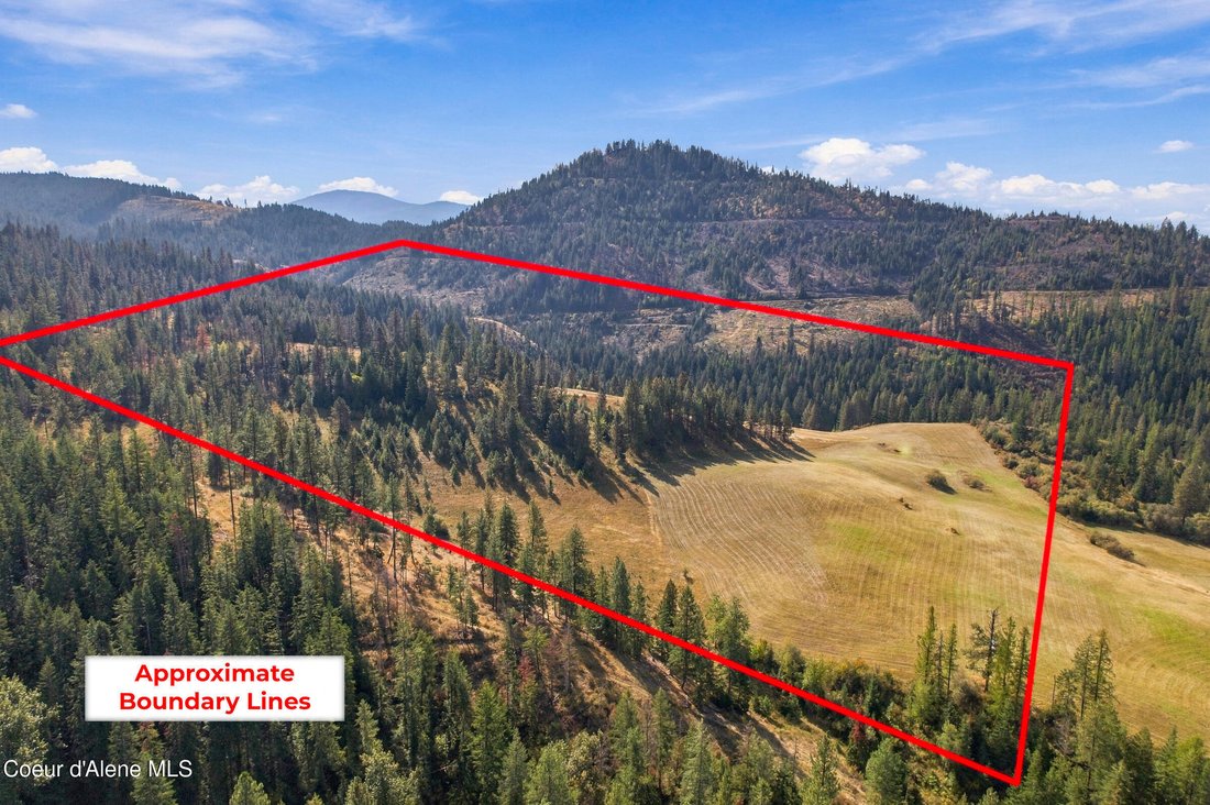 Terrain à Medimont, Idaho, États-Unis 2 - 19079558
