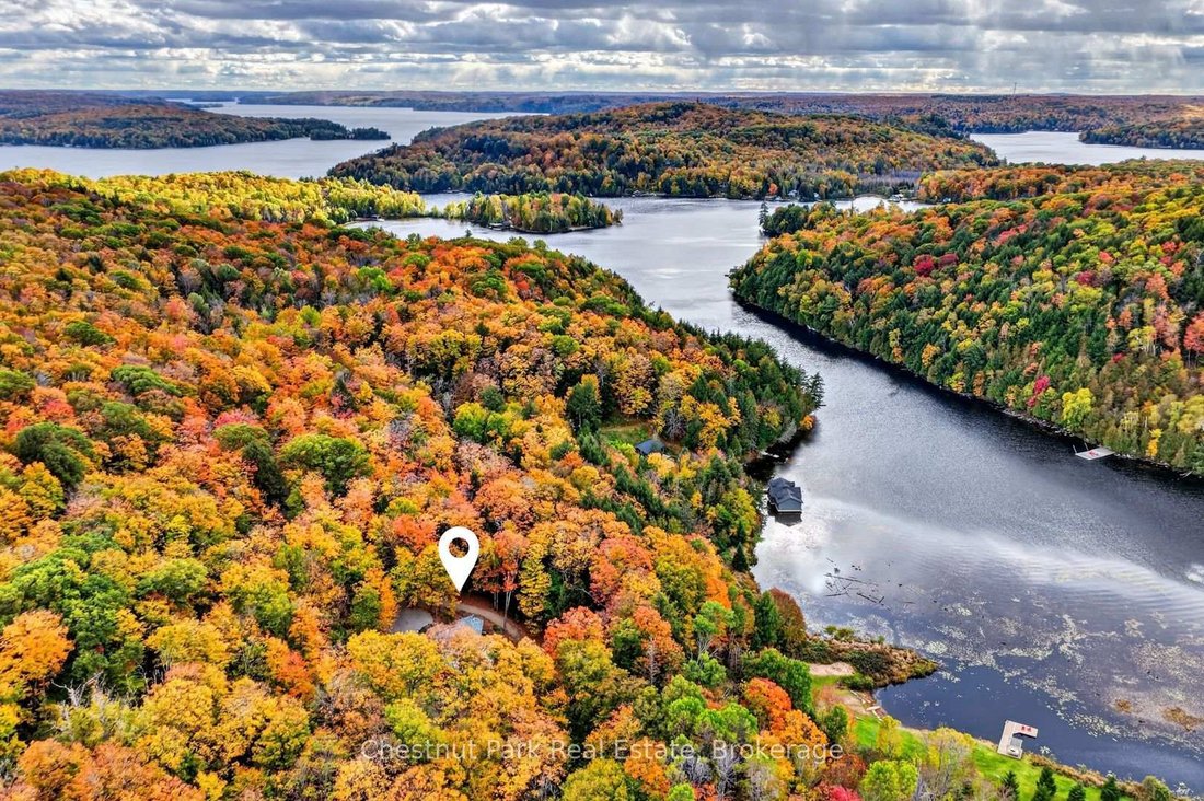 House in Lake of Bays, Ontario, Canada 3 - 19083103