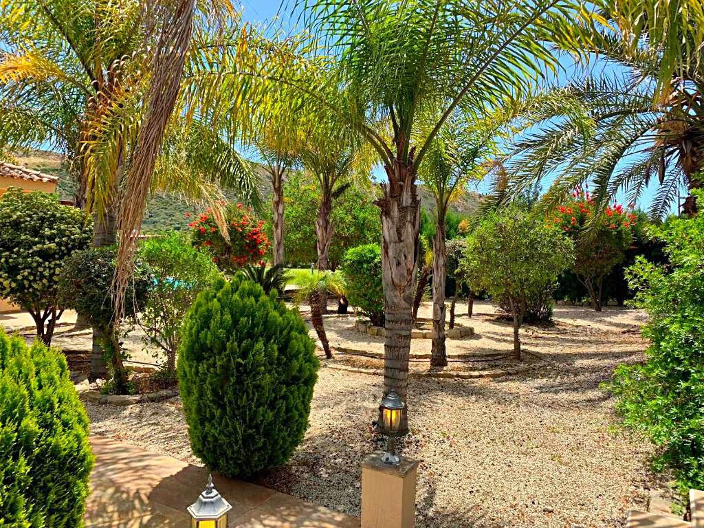 Haus in Pissouri, Limassol, Zypern 4 - 19083982