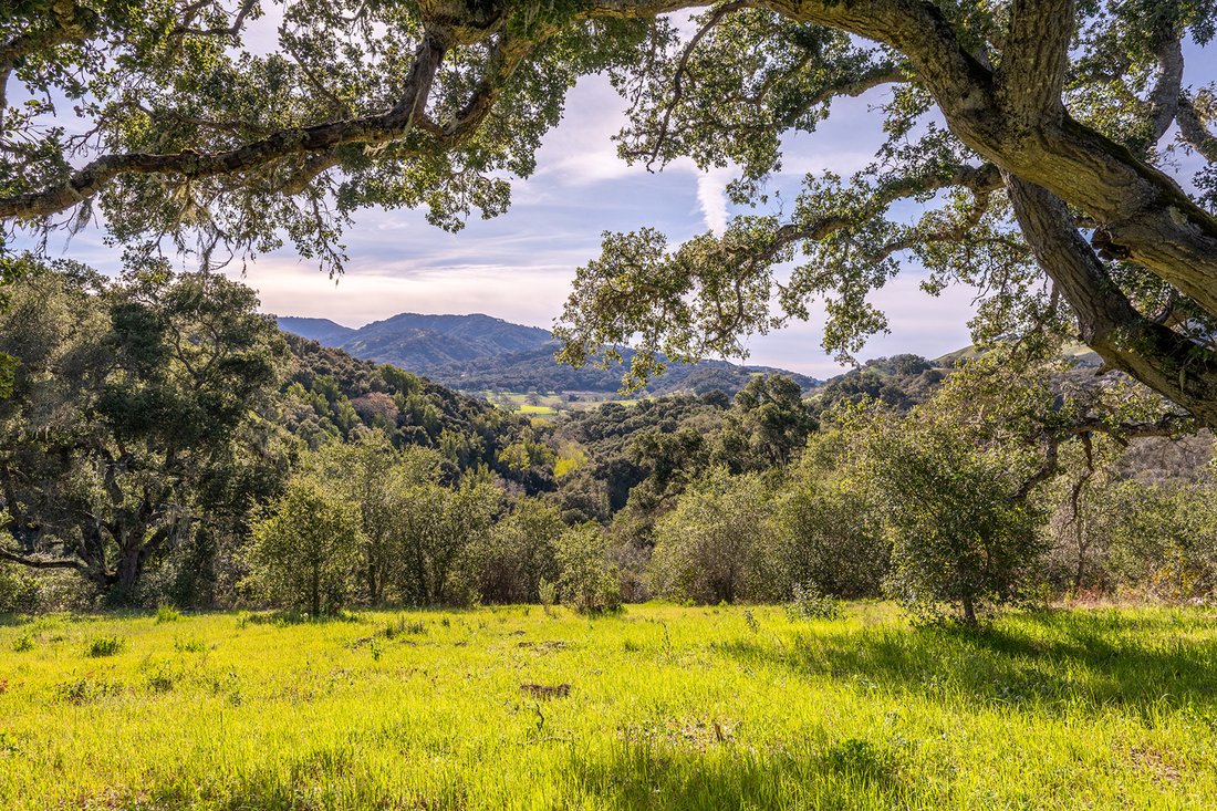 Terrain à Carmel-by-the-Sea, Californie, États-Unis 3 - 19076102
