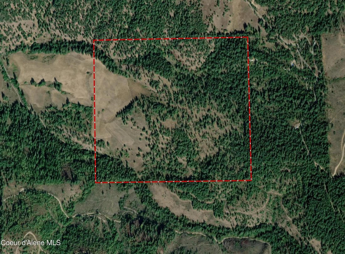 Terrain à Medimont, Idaho, États-Unis 3 - 19079558