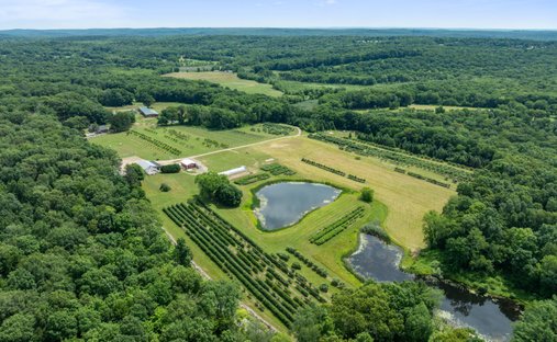 Land in Ashford, Connecticut, United States 1