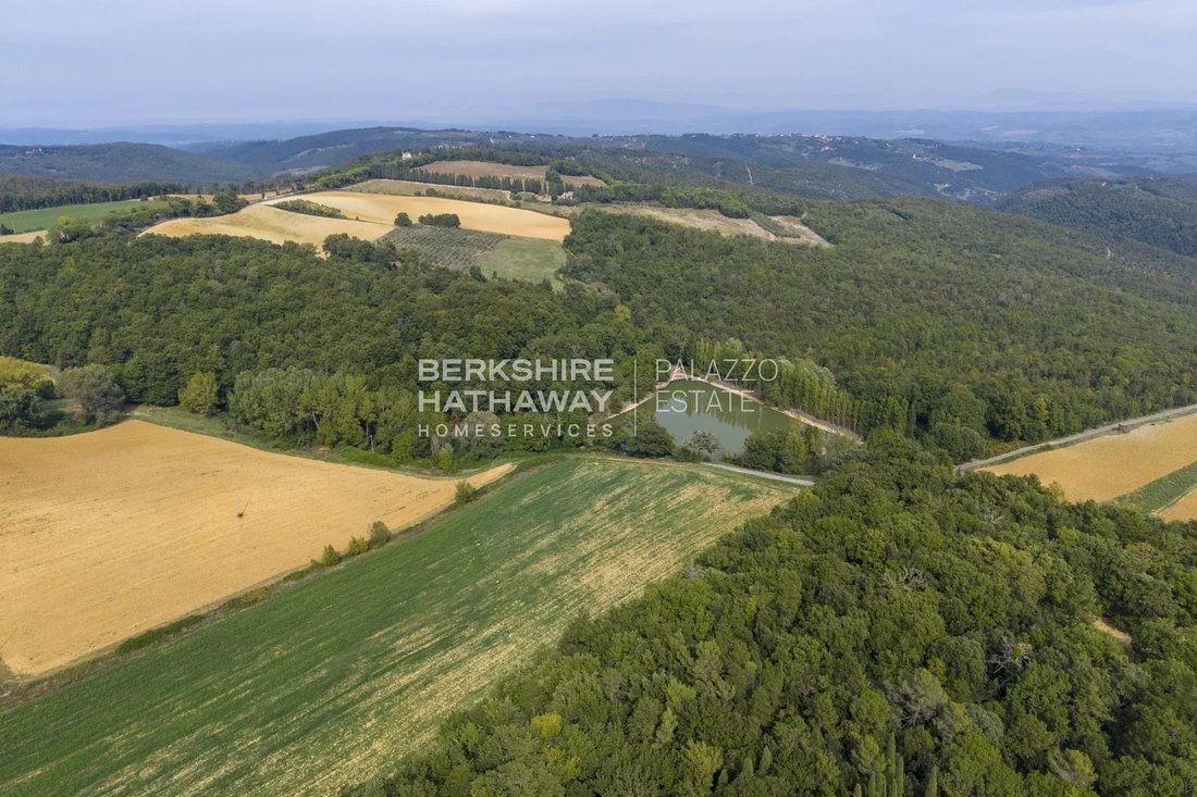 Estate in Gambassi Terme, Tuscany, Italy 5 - 19079502