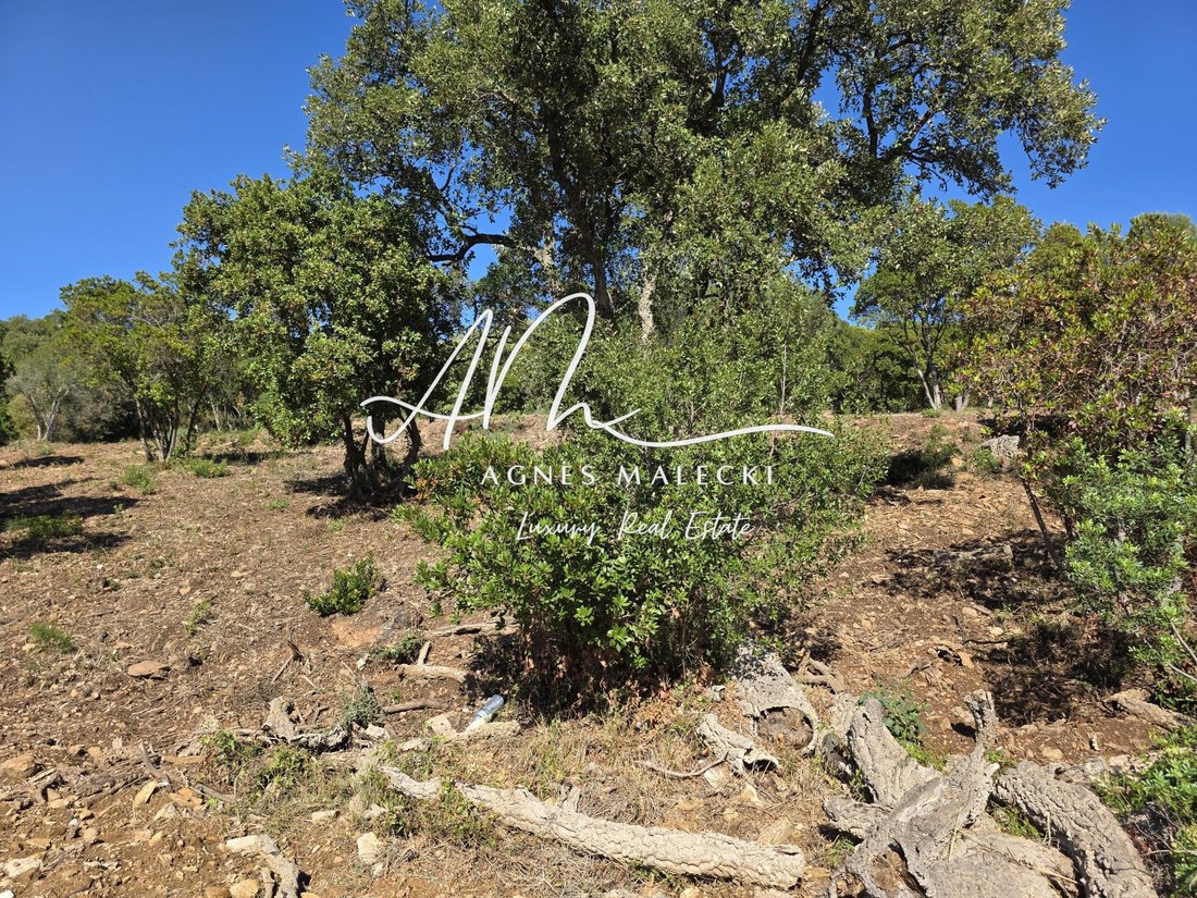 Finca en Nord, Cavalaire-sur-Mer, Francia 3 - 18638560