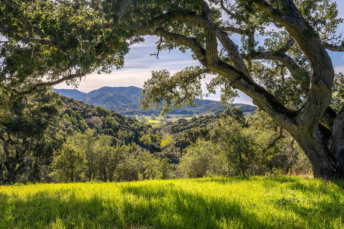 Terrain à Carmel-by-the-Sea, Californie, États-Unis 1 - 19076102