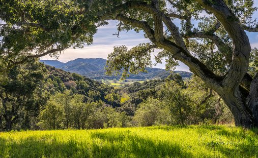 Terreno a Carmel-by-the-Sea, California, Stati Uniti 1