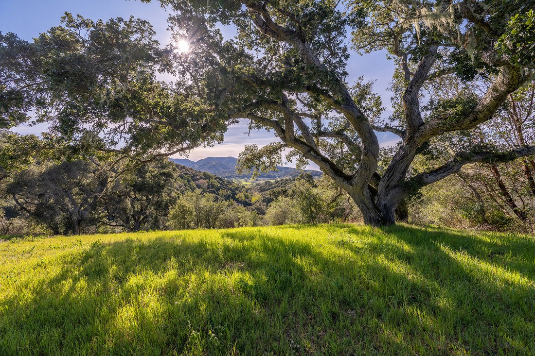 Terrain à Carmel-by-the-Sea, Californie, États-Unis 4 - 19076102