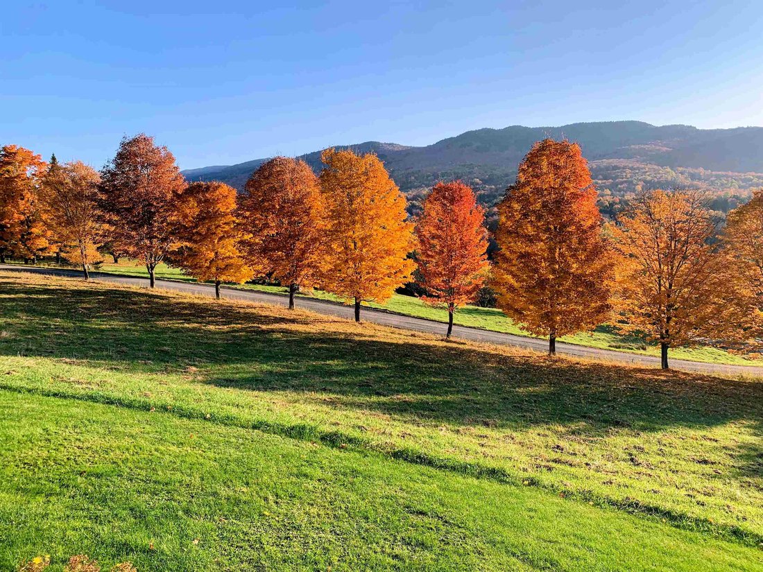 Casa a Waterbury Center, Vermont, Stati Uniti 2 - 19085285