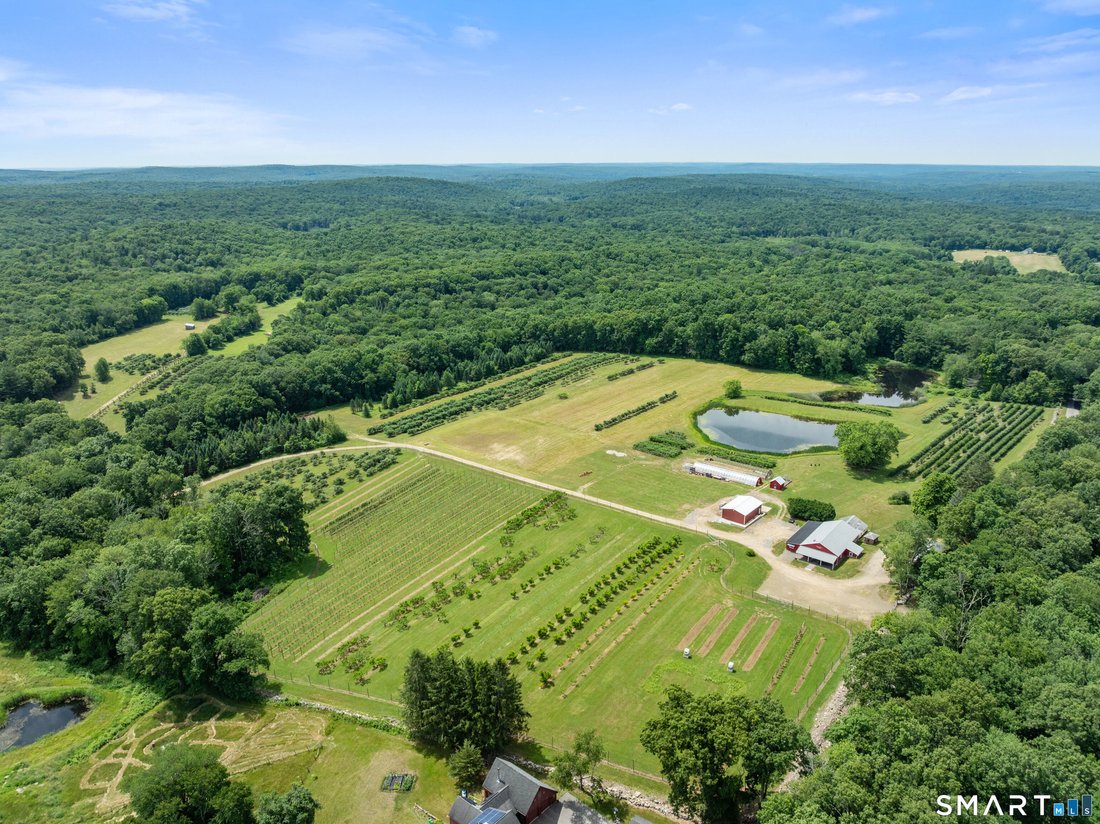 Terreno en Ashford, Connecticut, Estados Unidos 2 - 19082507