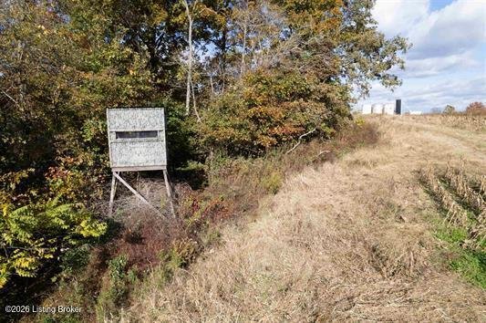 Terreno a Falls of Rough, Kentucky, Stati Uniti 5 - 19080024
