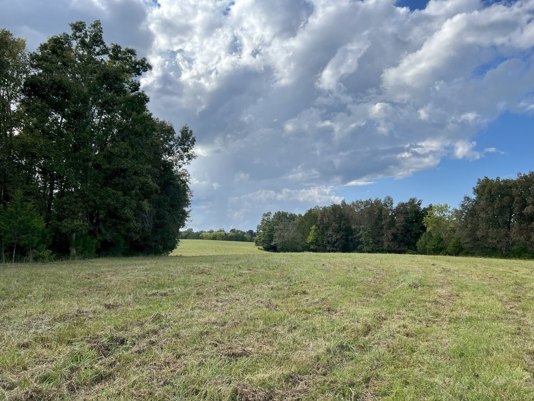 Azienda agricola a Spring Hill, Tennessee, Stati Uniti 5 - 19079689