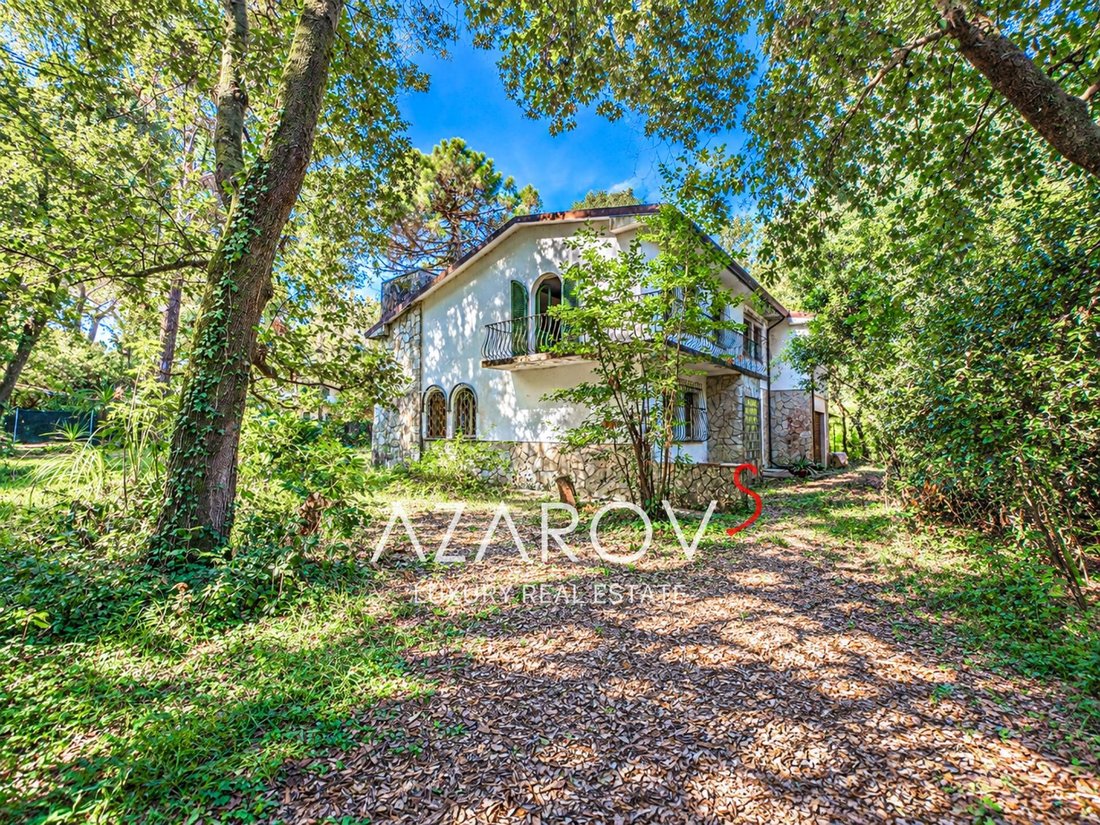 Villa à Marina di Massa Centre, Massa, Italie 3 - 19078970