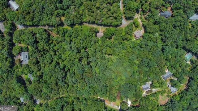Land in Ball Ground, Georgia, United States 1 - 19077451