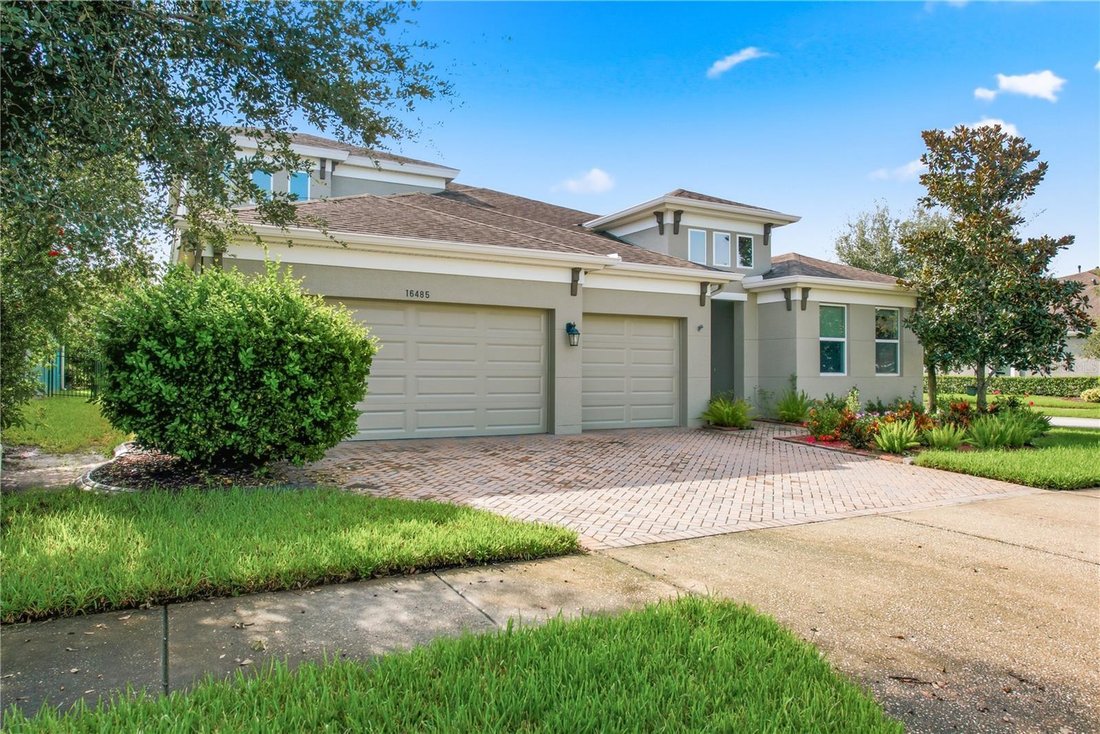 Haus in Land O’ Lakes, Florida, Vereinigte Staaten 3 - 18330702