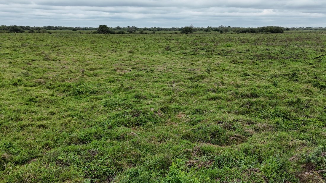 Farm Ranch in Aguada Escondida, Formosa Province, Argentina 4 - 19080012