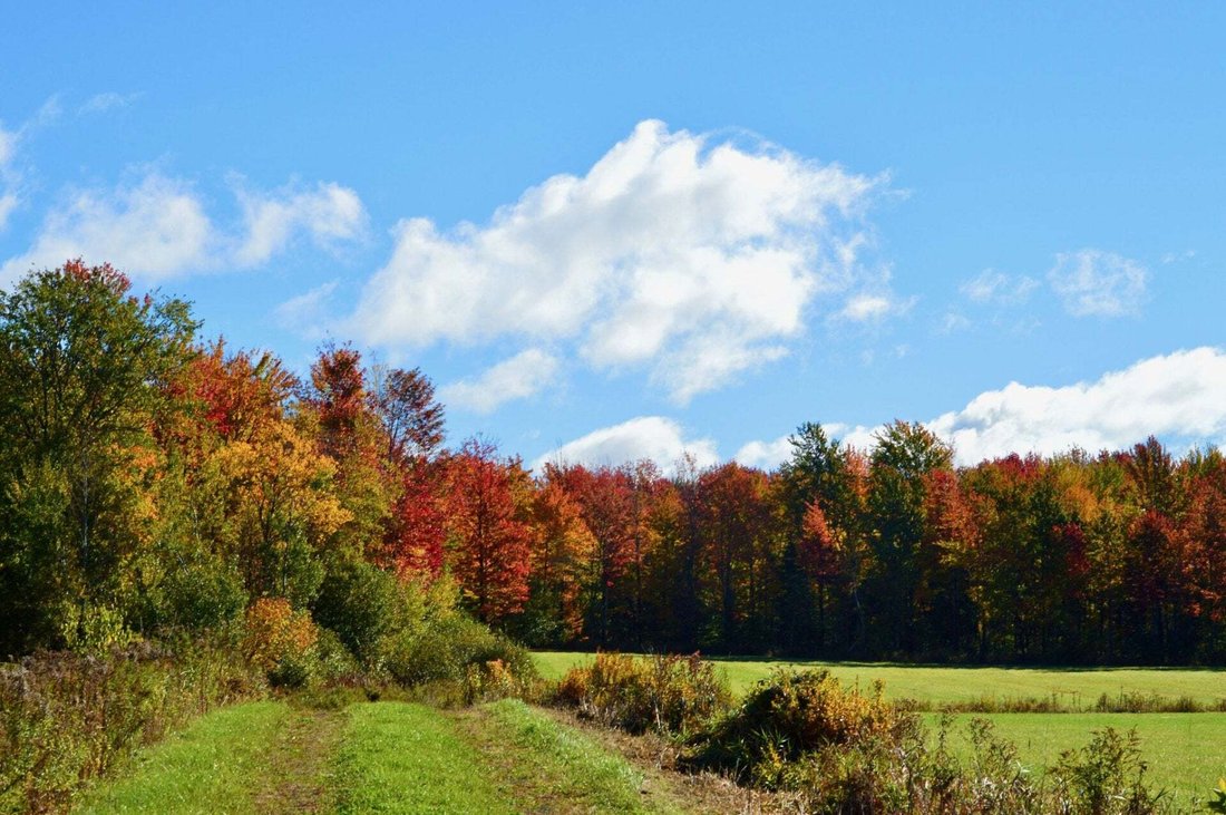 Terrain à Lac-Brome, Québec, Canada 4 - 17192995