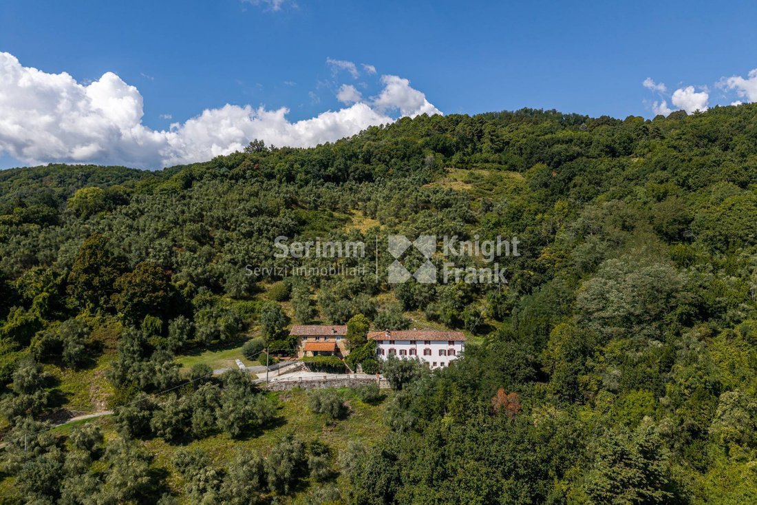 Haus in Area Monte San Quirico - Sant'Alessio, Lucca, Toskana 3 - 19076195