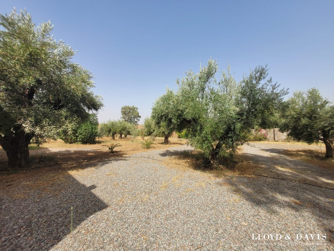 Farm Ranch in Marrakesch, Marrakesch-Safi, Marokko 3 - 19085484