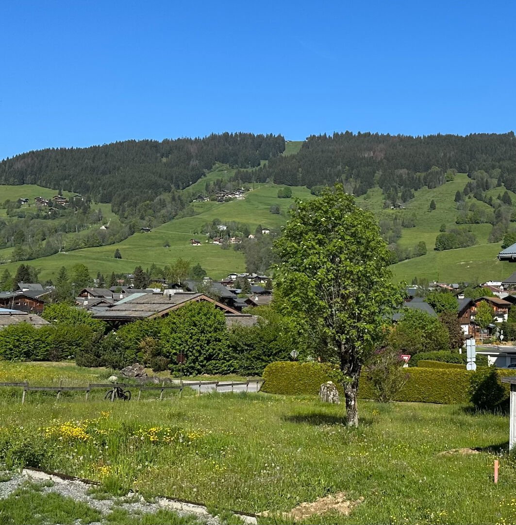 Terreno a Megève, Auvergne-Rodano-Alpi, Francia 1 - 19077968