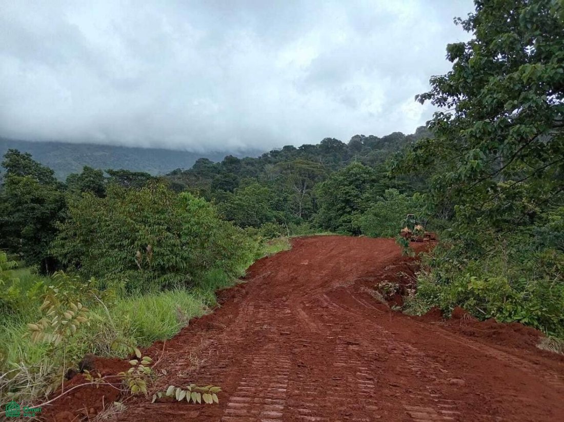 Land in Savegre de Aguirre, Puntarenas Province, Costa Rica 4 - 19063056