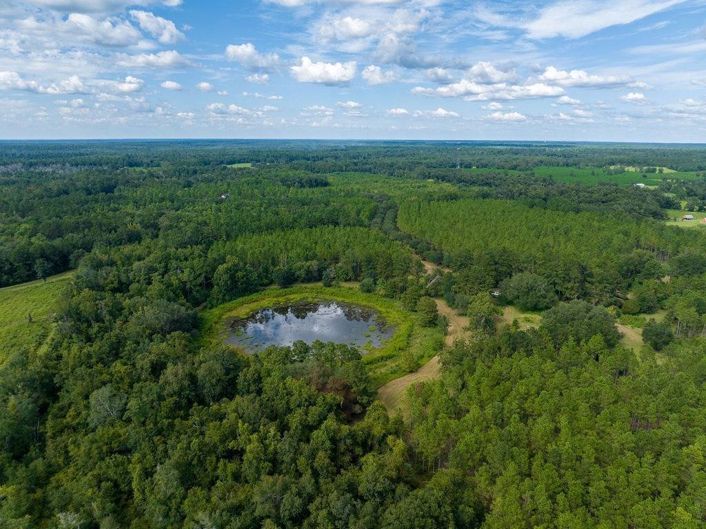 Land in Monticello, Florida, Vereinigte Staaten 1 - 19080731