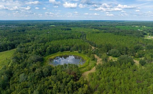 Land in Monticello, Florida, Vereinigte Staaten 1