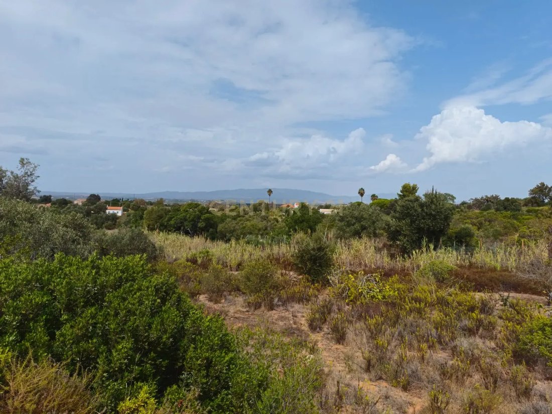 Farm Ranch in Alvor, Algarve, Portugal 5 - 19077173