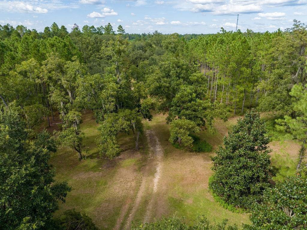 Land in Monticello, Florida, Vereinigte Staaten 4 - 19080731