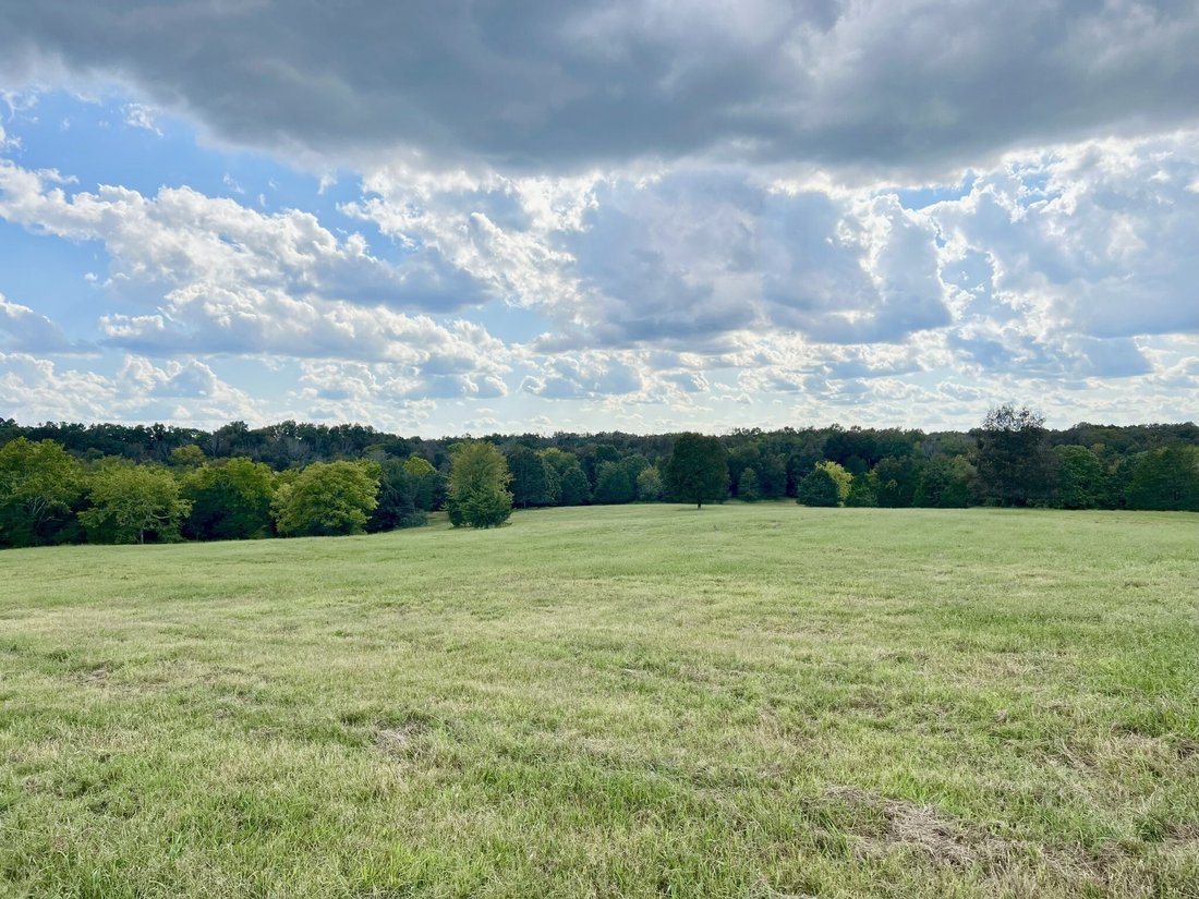 Azienda agricola a Spring Hill, Tennessee, Stati Uniti 3 - 19079689
