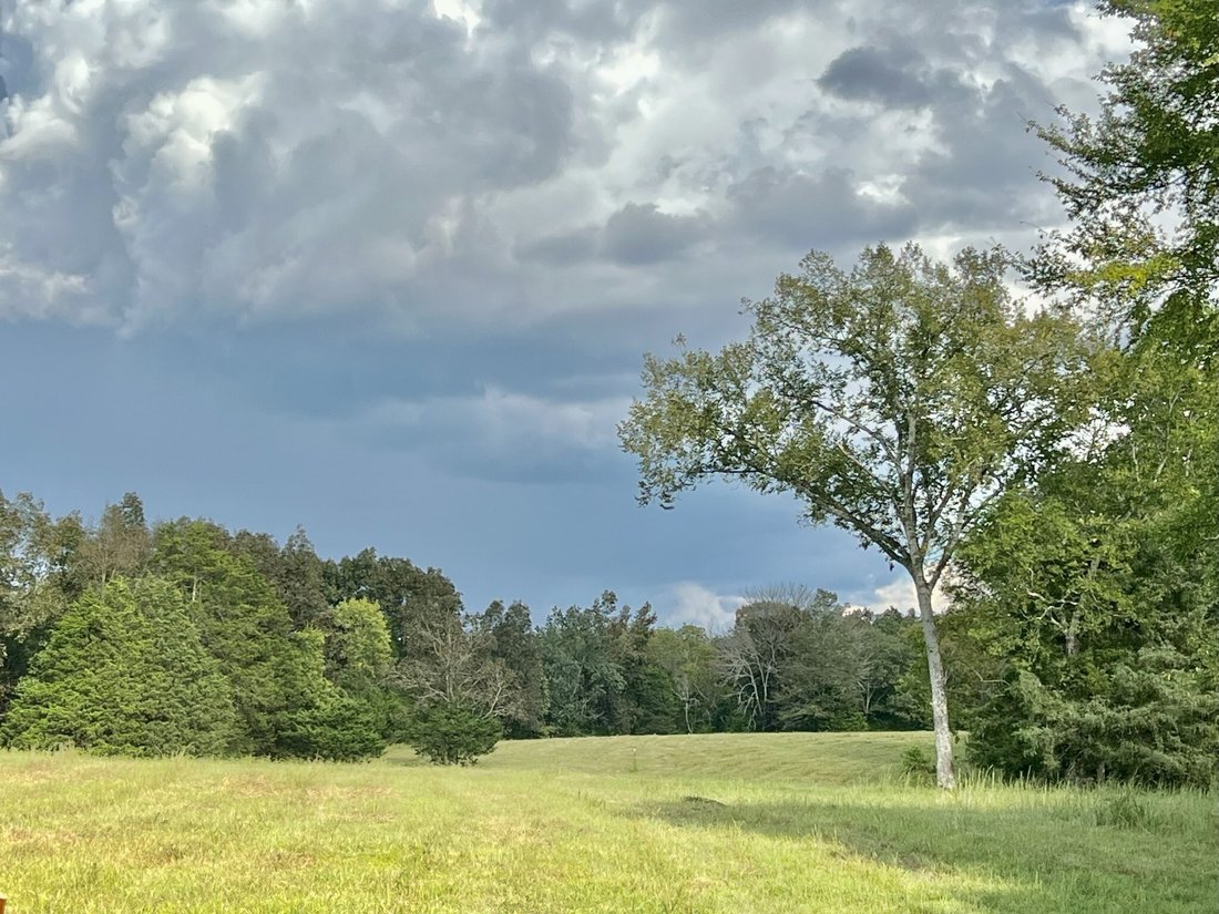 Azienda agricola a Spring Hill, Tennessee, Stati Uniti 2 - 19079689
