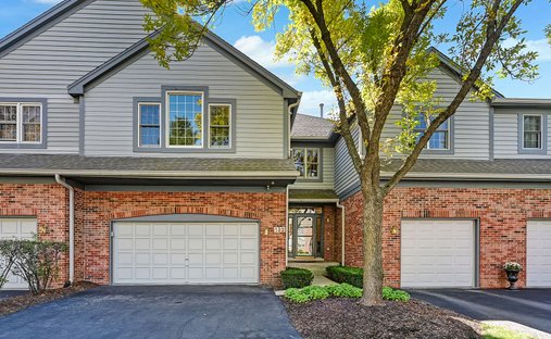 Villa en Burr Ridge, Illinois, Estados Unidos 1