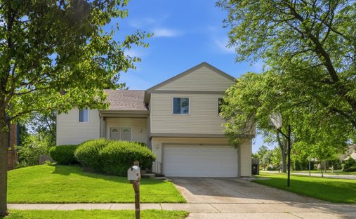 Casa en Buffalo Grove, Illinois, Estados Unidos 1