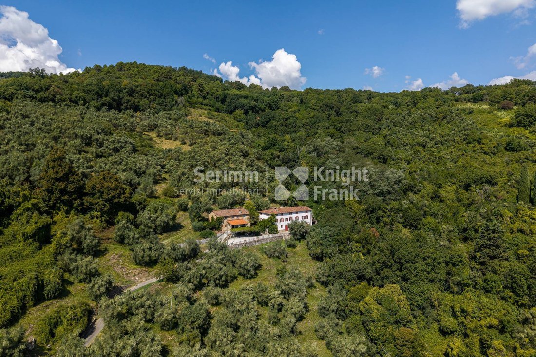 Haus in Area Monte San Quirico - Sant'Alessio, Lucca, Toskana 2 - 19076195