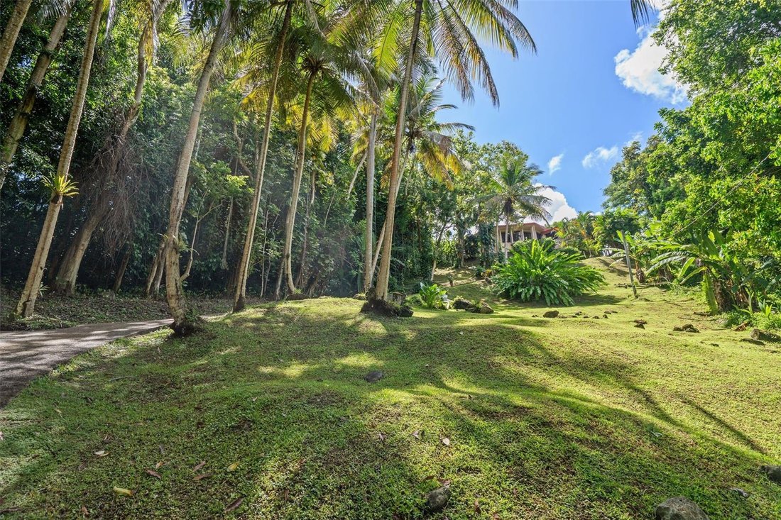 Casa a LUQUILLO, PR, United States 2 - 19082563