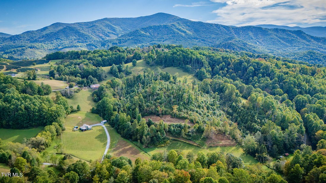 Haus in Roan Mountain, Tennessee, Vereinigte Staaten 5 - 19085553