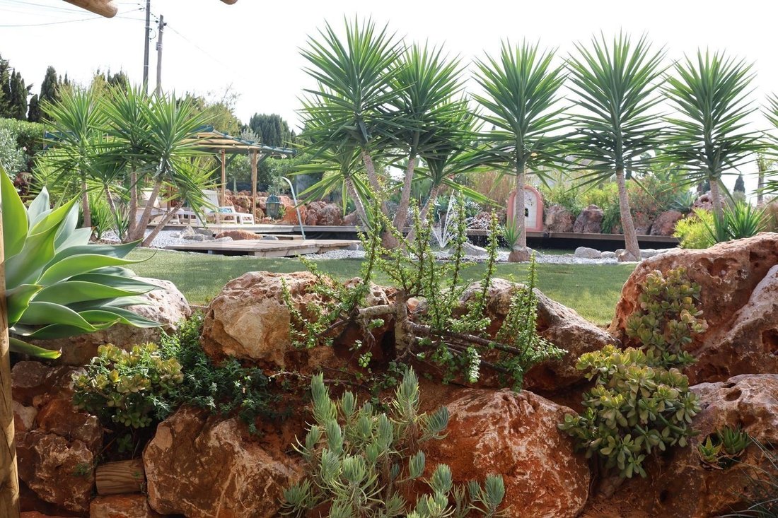 Azienda agricola a Carvoeiro, Algarve, Portogallo 4 - 19080062
